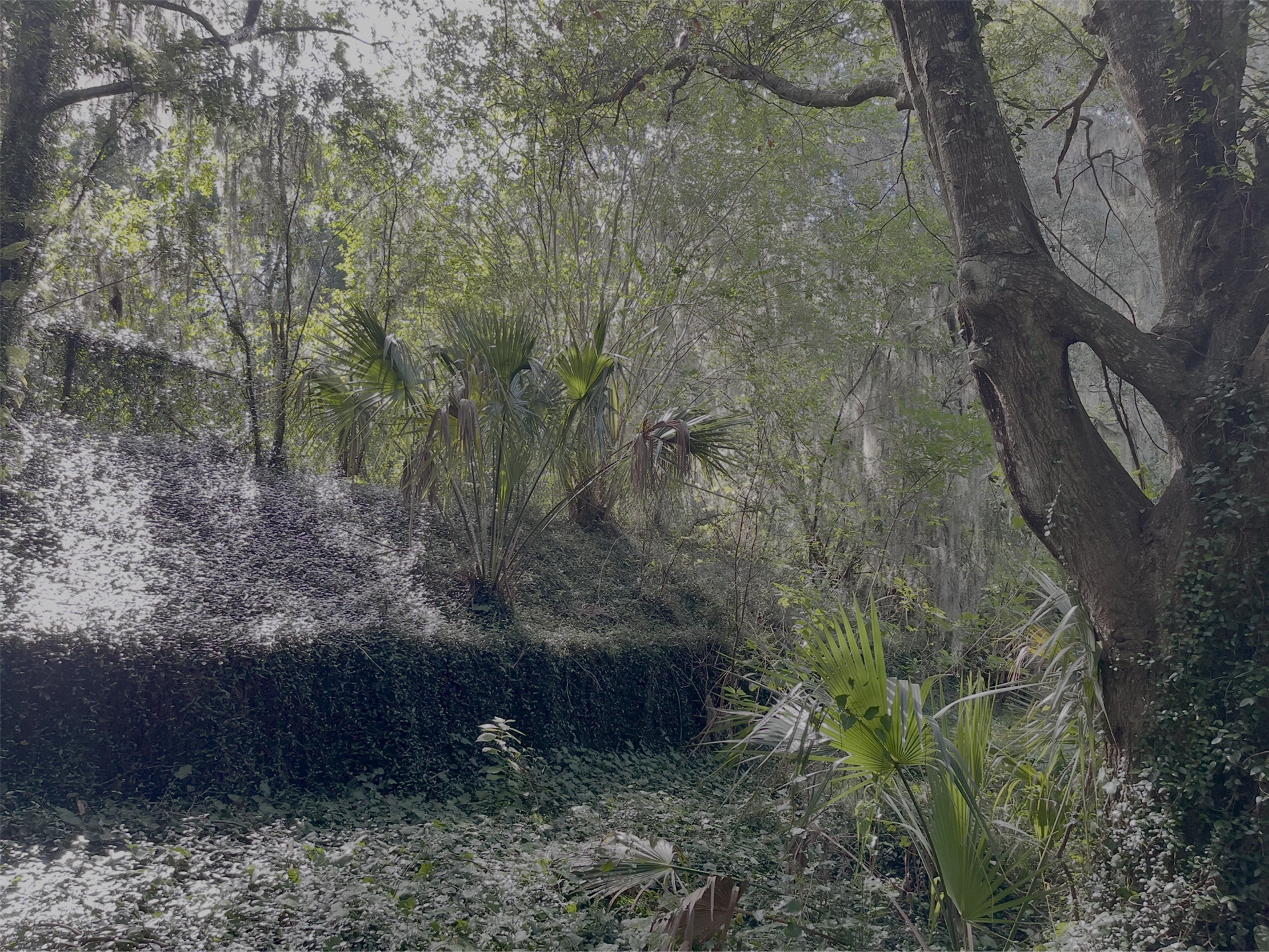 Beautiful outdoor ceremony space at The Social Chapel