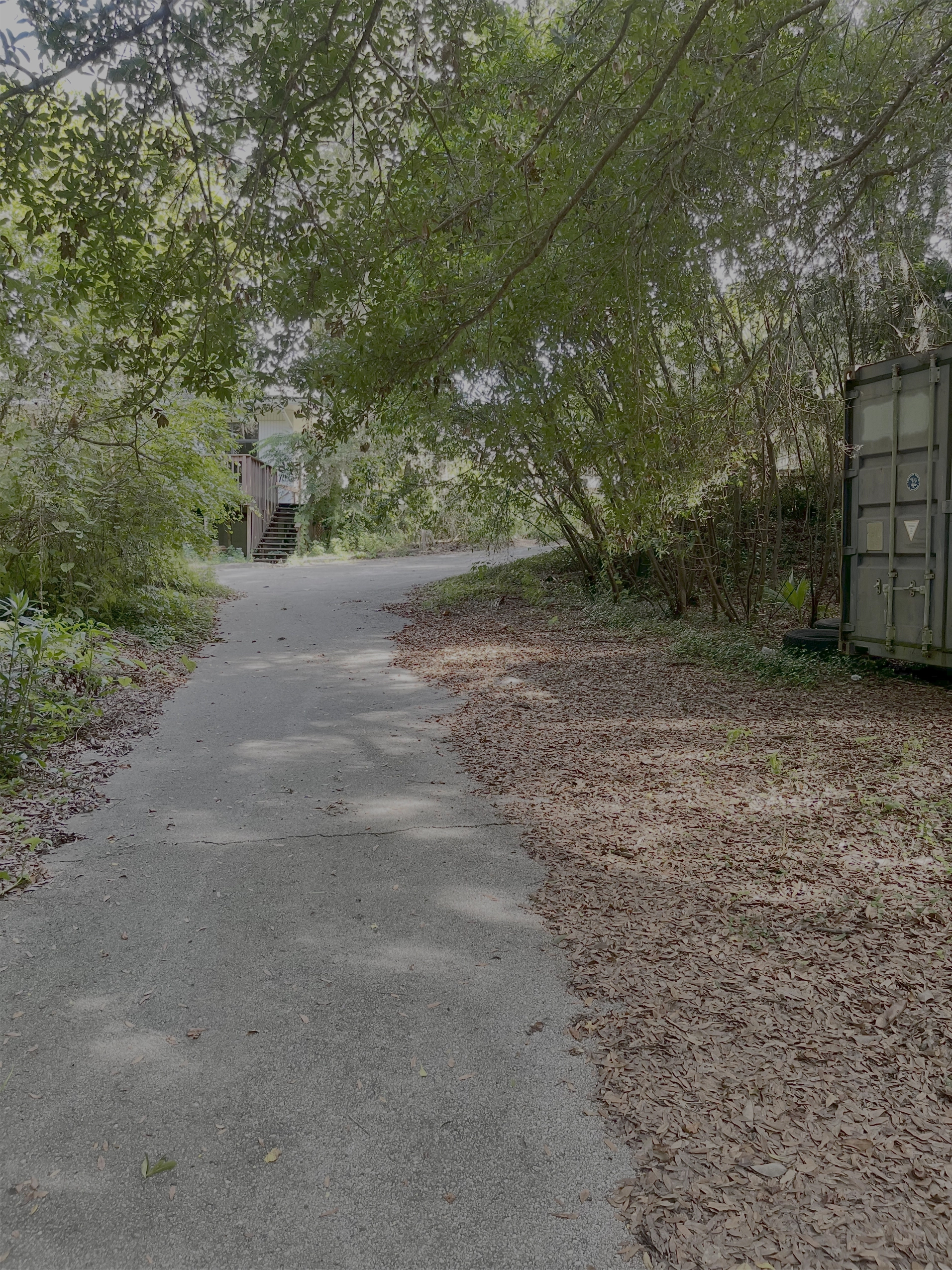 Garden reception area at The Social Chapel Jacksonville