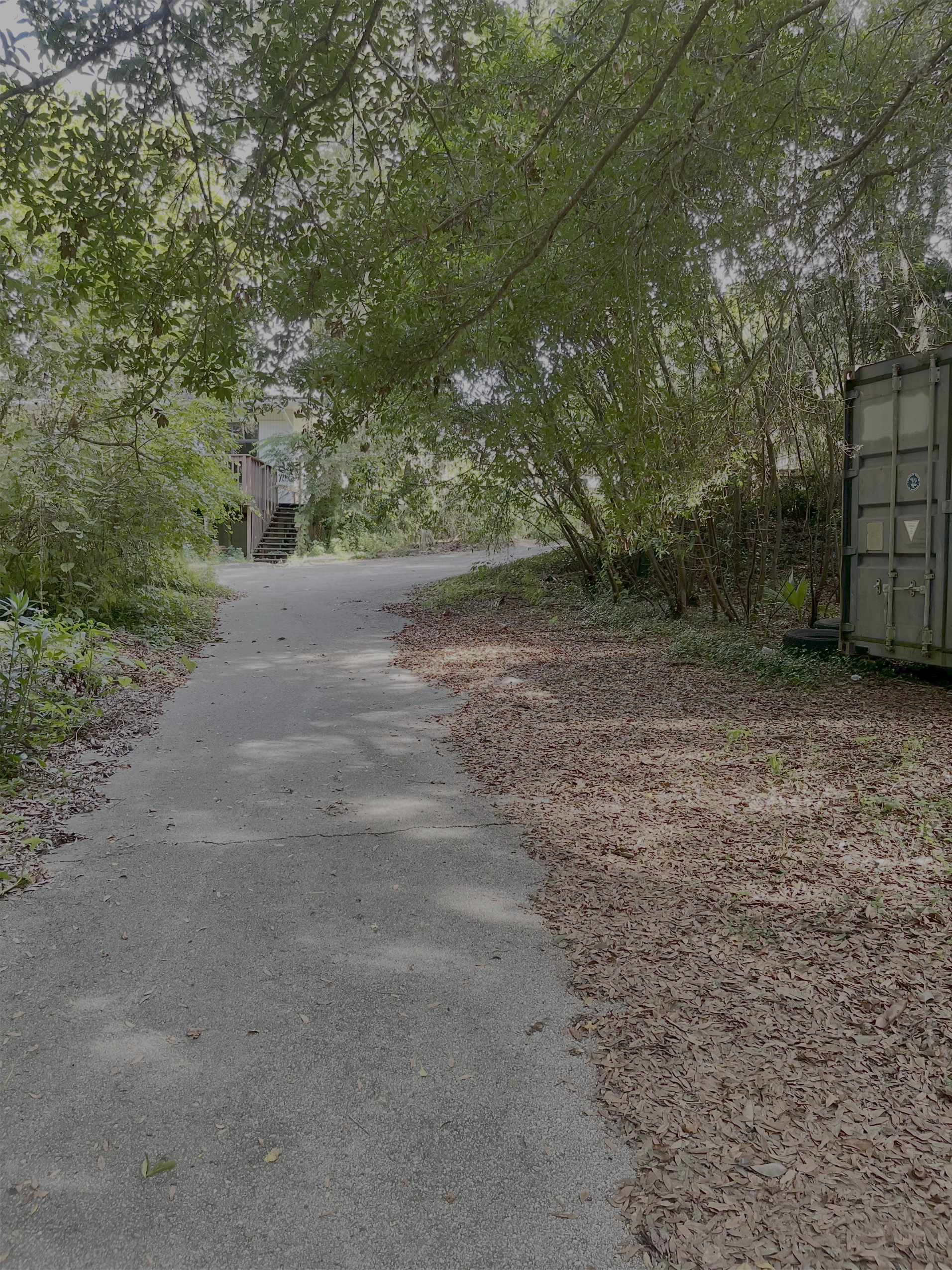 Outside Album - Outdoor Venue Spaces at The Social Chapel