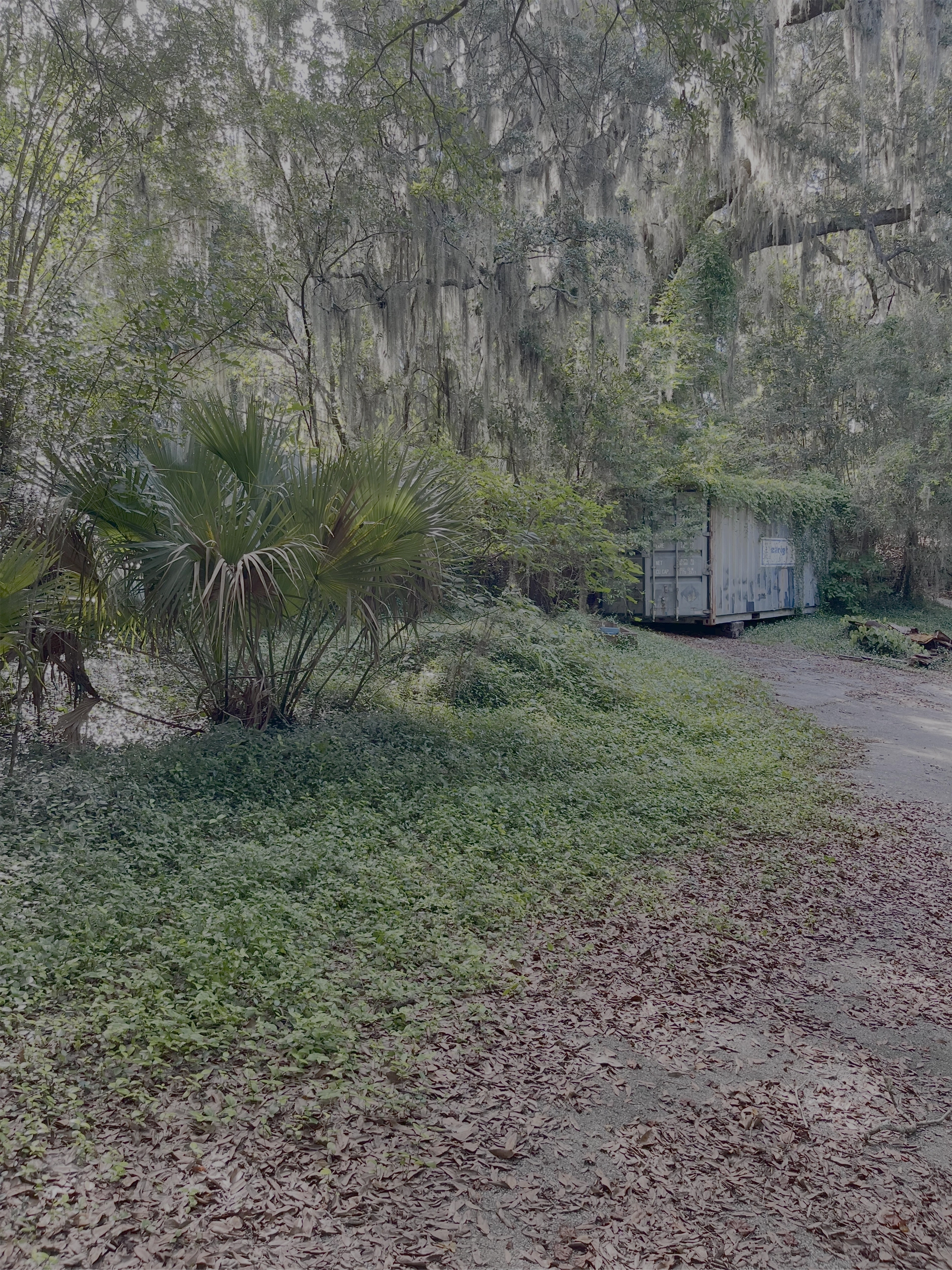 Outdoor event space with elegant landscaping