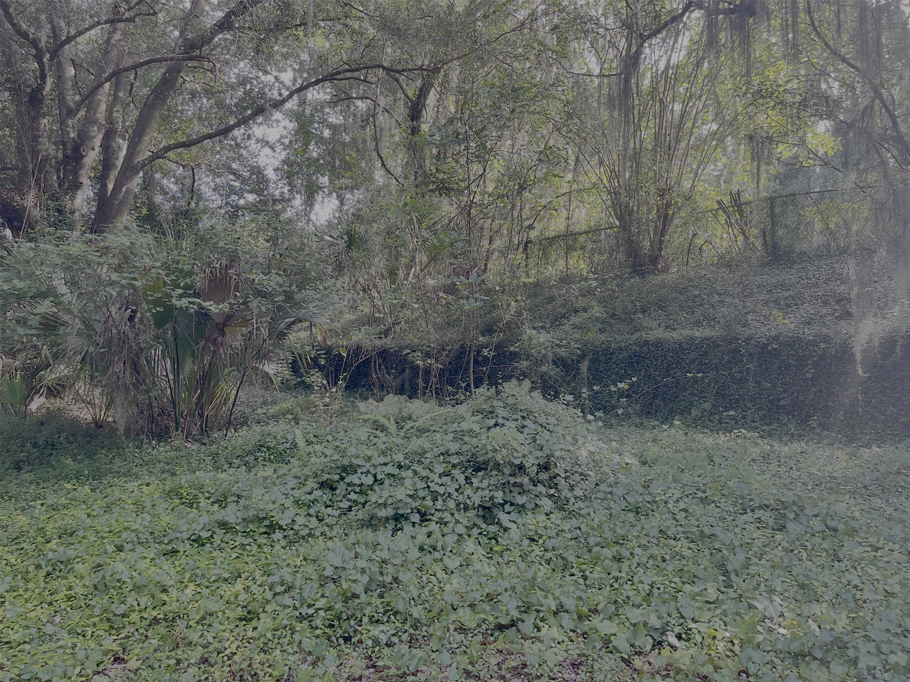 Romantic outdoor event lighting