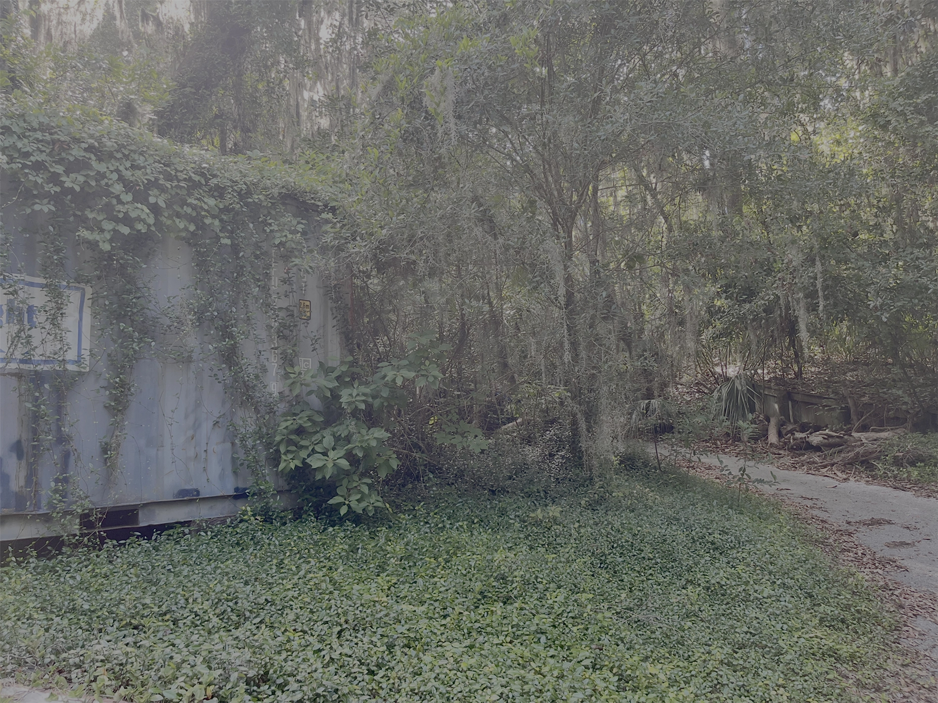 Garden pathway and outdoor venue area